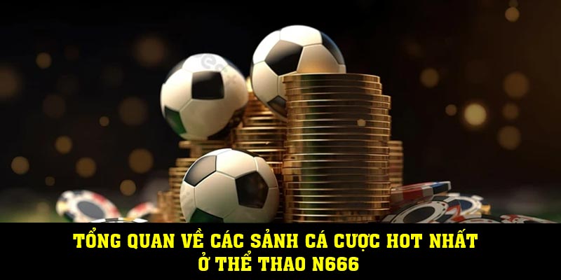 Tổng quan về các sảnh cá cược hot nhất ở thể thao N666